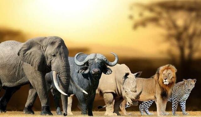 big five 